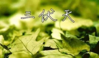 什么时间入伏（什么时间入伏从哪天开始）