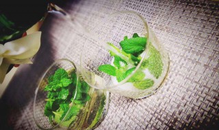 mojito怎么调 mojito怎么调配