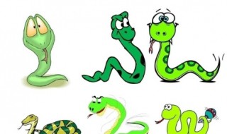 蛇怕什么东西（蛇怕什么东西要拿什么防）