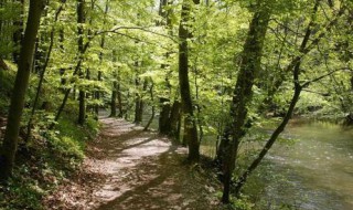 昊字五行属什么（皓字五行属什么）