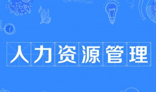 什么是人力资源管理 什么是人力资源管理工作开展的基础公共部门也不例外