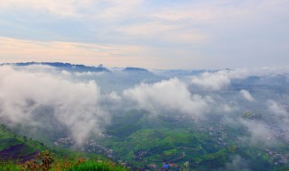 雾是什么（雾是什么物理现象）