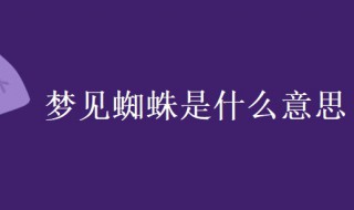 梦见蜘蛛是什么意思 周公解梦梦见蜘蛛是什么意思