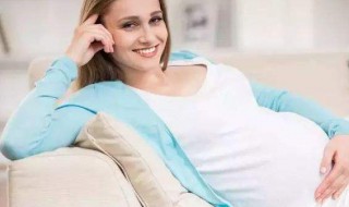 怀孕时间从什么时候开始算 狗狗怀孕时间从什么时候开始算