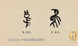 鸟字旁的字（鸟字旁的字与什么有关）