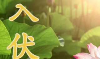 2020年什么时候入伏（2020年什么时候入伏,什么时候结束）