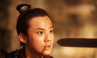 赵氏孤儿是谁（赵氏孤儿是谁的作品）