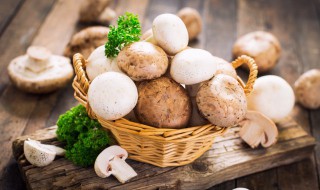口蘑白菜的正确方法 口蘑白菜的正确方法和做法