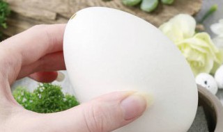 鹅蛋的作用（鹅蛋的作用与功效,血糖高能吃鹅蛋吗）