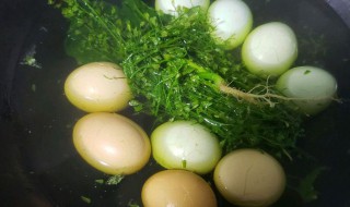 煮荠菜鸡蛋的方法（煮荠菜鸡蛋的方法窍门）