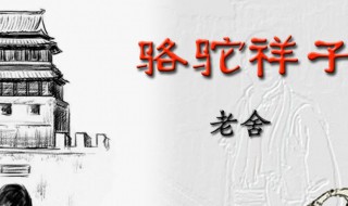 骆驼祥子内容简介 骆驼祥子内容简介150字