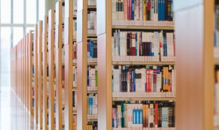 上山容易下山难什么意思（上山容易下山难作文800字）