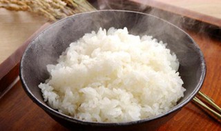 米饭和面条哪个更容易发胖 米饭和面条哪个热量高