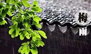 梅雨季节是什么意思 梅雨季节的梅雨是什么意思