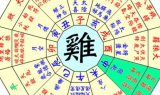 八字排盘怎么看 八字排盘怎么看图解