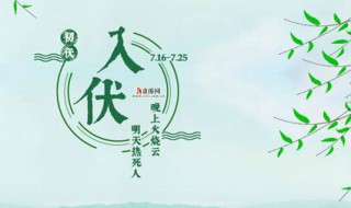 三伏是什么时候（三伏是什么时候开始）