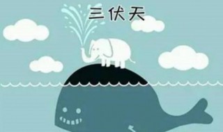 三伏天怎么算（三伏天怎么算?）