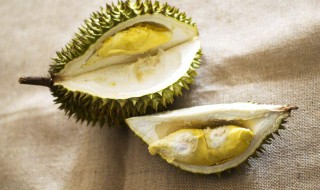 榴莲的营养价值与功效 榴莲的营养价值与功效与作用