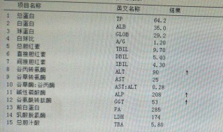 胆汁由什么分泌（胆汁是怎么形成的）