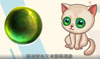 猫眼石是什么 猫眼石是什么材质对人有害吗