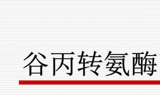 谷丙转氨酶是什么（谷丙转氨酶是什么玩意）