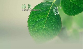 惊蛰的含义（微雨众卉新一雷惊蛰始惊蛰的含义）