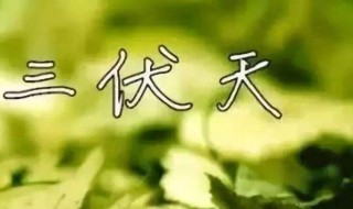 入伏是哪一天（入伏是哪一天怎么算）
