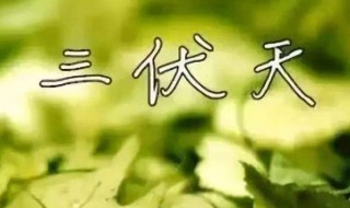 暑伏是几月几号2020 暑伏是几月几号2023第二伏