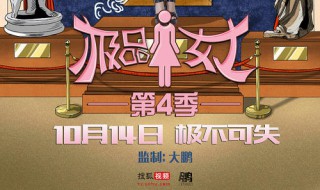 极品女士4电视剧剧情 极品女士第二季 电视剧