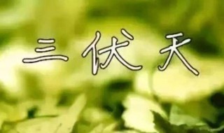 2020年入伏时间（2020年入伏时间表图片）