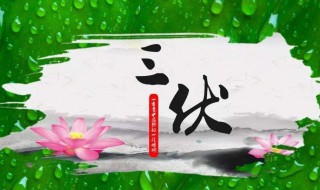 哪天入伏 哪天入伏啊头伏第一天2023