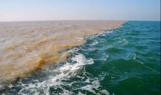 黄河入海口在哪里 淮河入海口在哪里