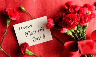 康乃馨的花语是什么? 红色康乃馨的花语是什么