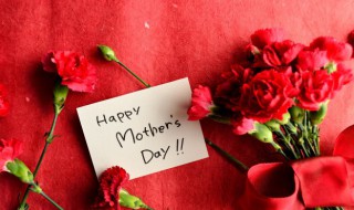 3朵康乃馨的花语（3朵康乃馨的花语和寓意）