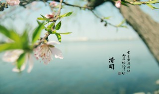 清明节问候（清明节问候语集锦）