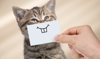 拍一设置好玩的文字 拍一拍好玩文字