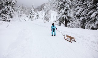 雪字的笔顺 雪字的笔顺怎么写