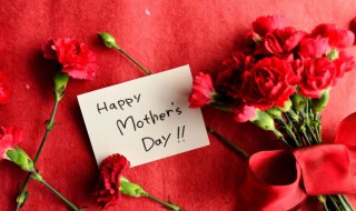 红色康乃馨的花语 红色康乃馨的花语和寓意