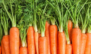 如何制作有趣又好吃的胡萝卜小零食 如何制作有趣又好吃的胡萝卜小零食