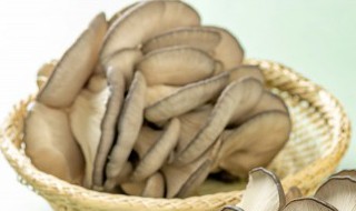 炸鲜蘑用面包糠的做法窍门 炸蘑菇怎么做不软还酥脆面包