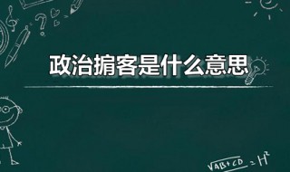 政治掮客是什么意思（政治掮客什么意思?）