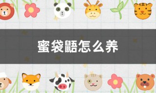 蜜袋鼯怎么养 蜜袋鼯怎么养胖