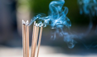 度母和观音有什么区别 什么属相不能戴绿度母