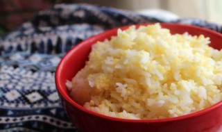 代替米饭的低糖主食 代替米饭的低糖主食藜麦有哪些