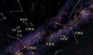 织女星属于哪个星座 织女星属于哪个星座未定