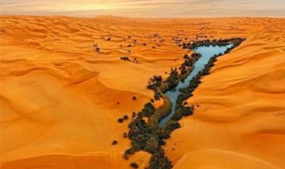 撒哈拉沙漠在哪个国家 撒哈拉沙漠在哪个国家占比最高