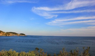 广鹿岛在哪 广鹿岛在哪里坐船