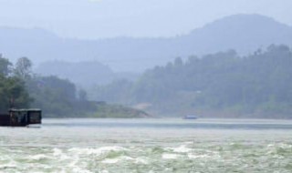 屈原投的是什么江（屈原投的是什么江?在哪个省?）