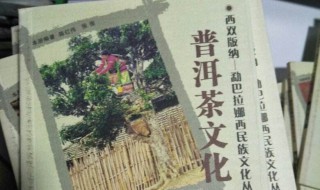 普洱茶文化（普洱茶文化与中国传统文化）