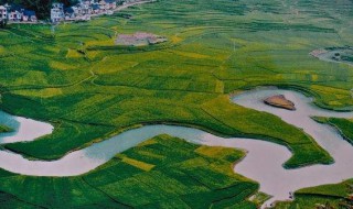 巴马旅游景点介绍 巴马旅游景点介绍巴马天气